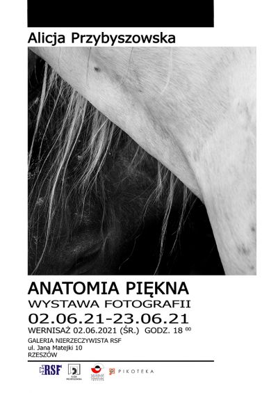 Plakat wystawy "Anatomia piękna"